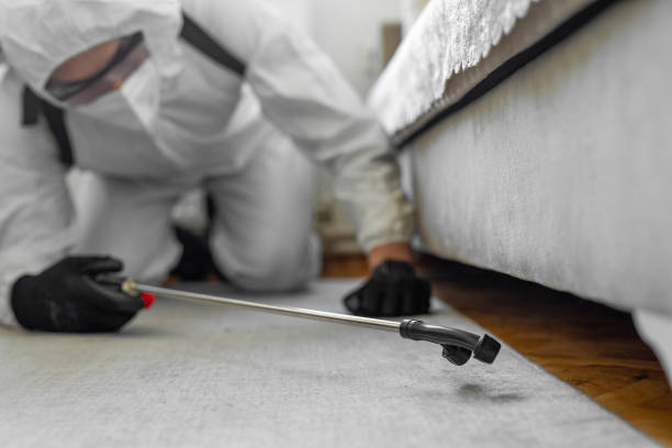 Professional Termite Control technician working in Long Beach, IN