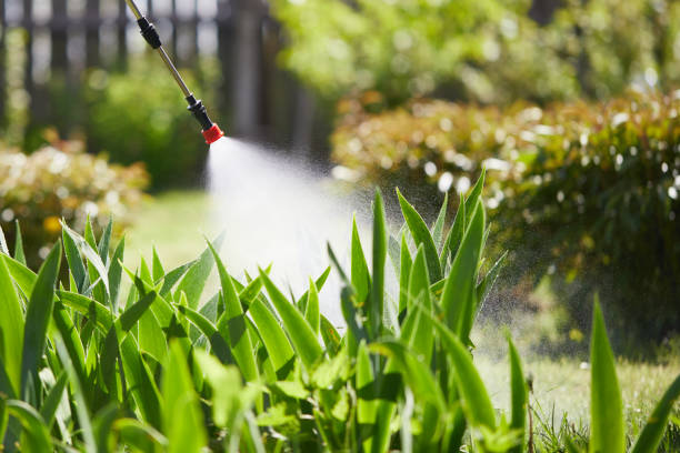 24/7 Emergency Termite Control experts in Long Beach, IN