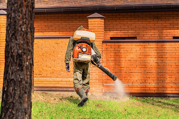 Top rated local Termite Control specialists in Long Beach, IN